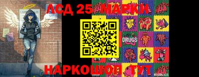 гашик Можга