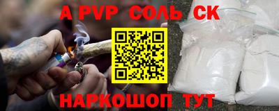 гашик Можга