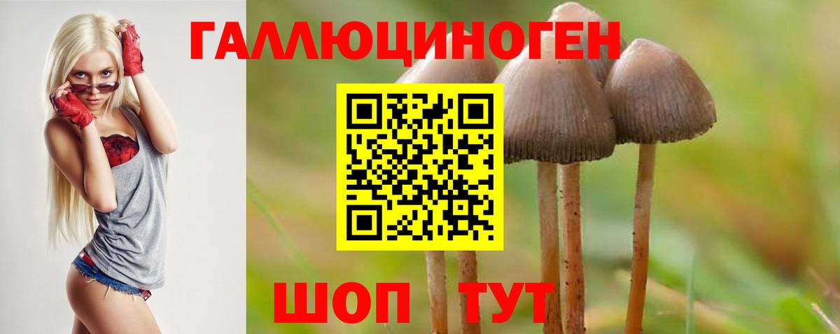 Псилоцибиновые грибы Psilocybine cubensis  Вход с VPN  Чистополь 